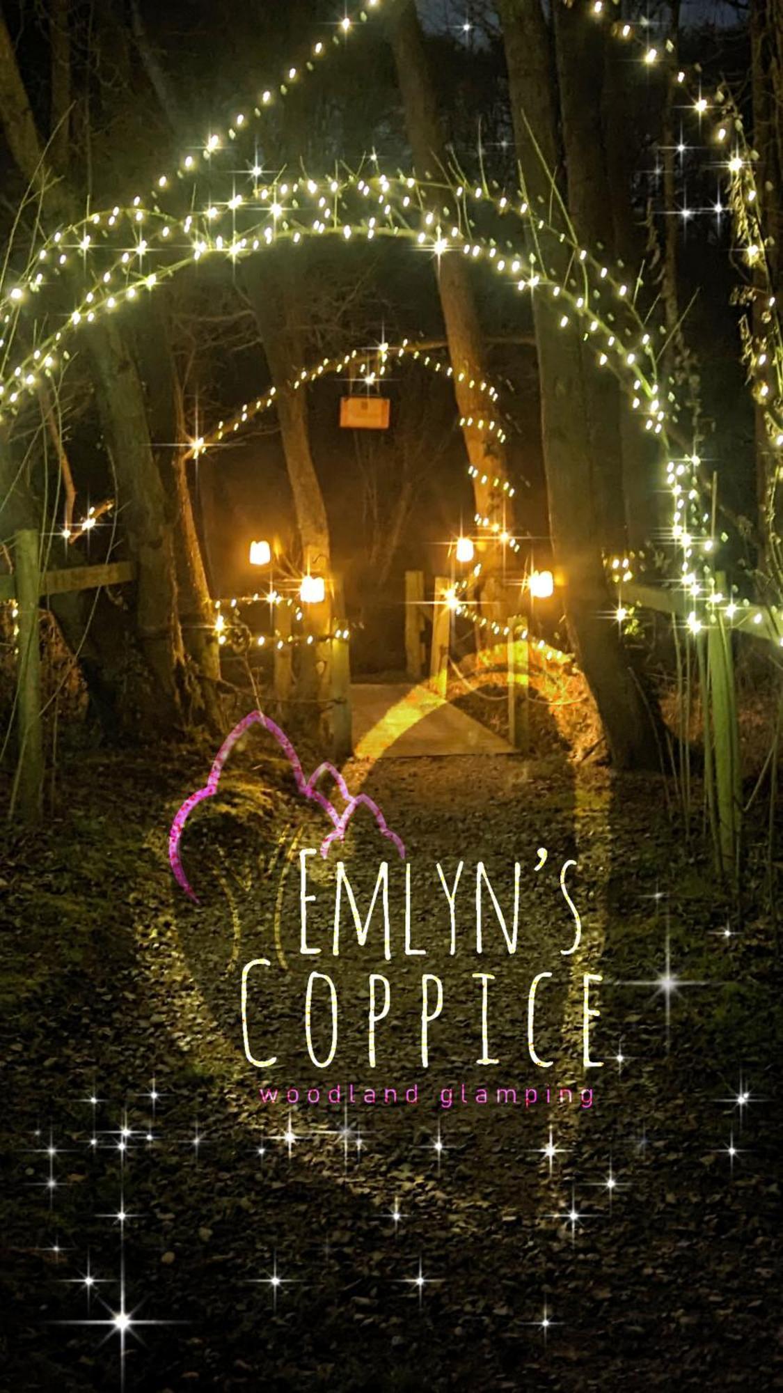 Willa Emlyn'S Coppice - Luxury Woodland Glamping Holywell  Zewnętrze zdjęcie